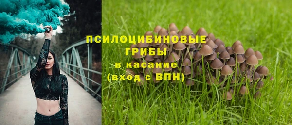 меф Мегион